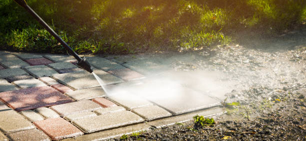 Best Solar Panel Cleaning  in Mahtomedi, MN